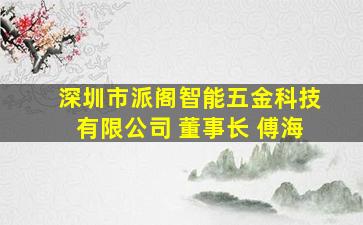 深圳市派阁智能五金科技有限公司 董事长 傅海